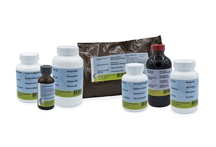 Hulda Clark Nieren-Reinigungskur