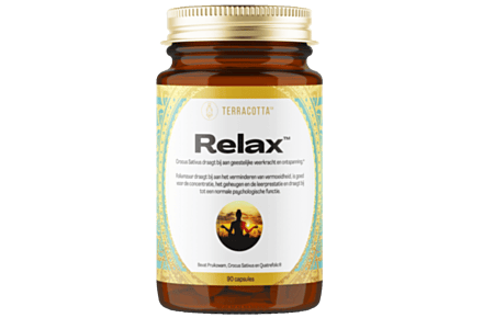 Terracotta Relax - Cordyceps & Lion's Mane