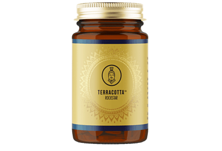 Terracotta Rockstar - Cordyceps & Agaricus