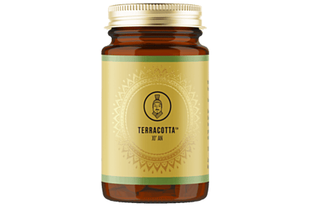 Terracotta Xi'An 90 capsules