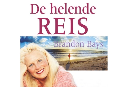 De helende reis - Brandon Bays luisterboek