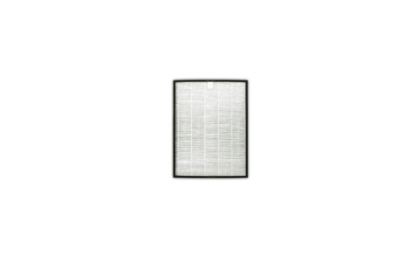 FZ-C100HFE (HEPA) 