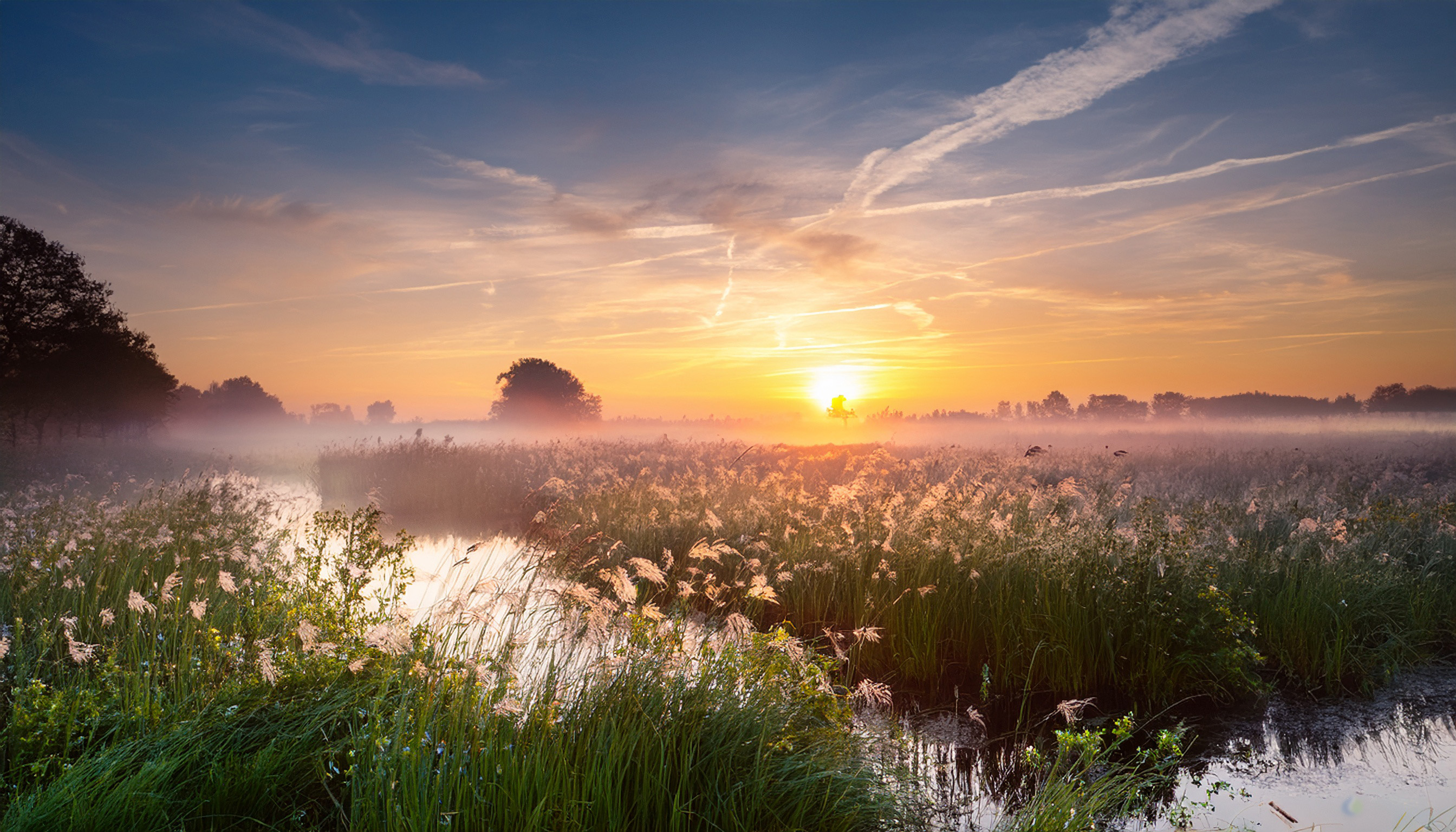 Natürliches Tageslicht bei Sonnenaufgang in einer nebligen Landschaft mit Wasser und Grün.
